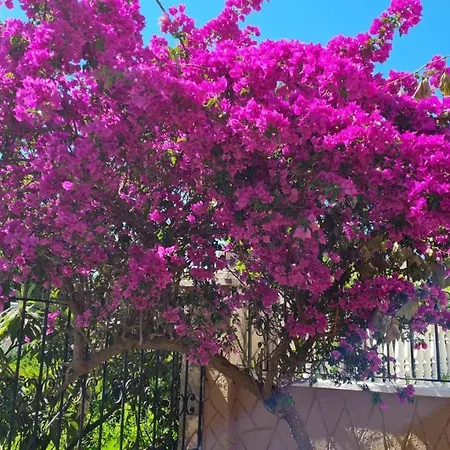 Kohler Вилла Алания